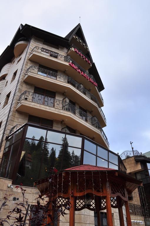 Hotel Arca Lui Noe Sinaia Exterior photo